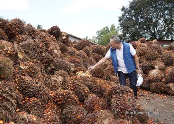Solusi Kemendag Atasi Masalah Minyak Goreng